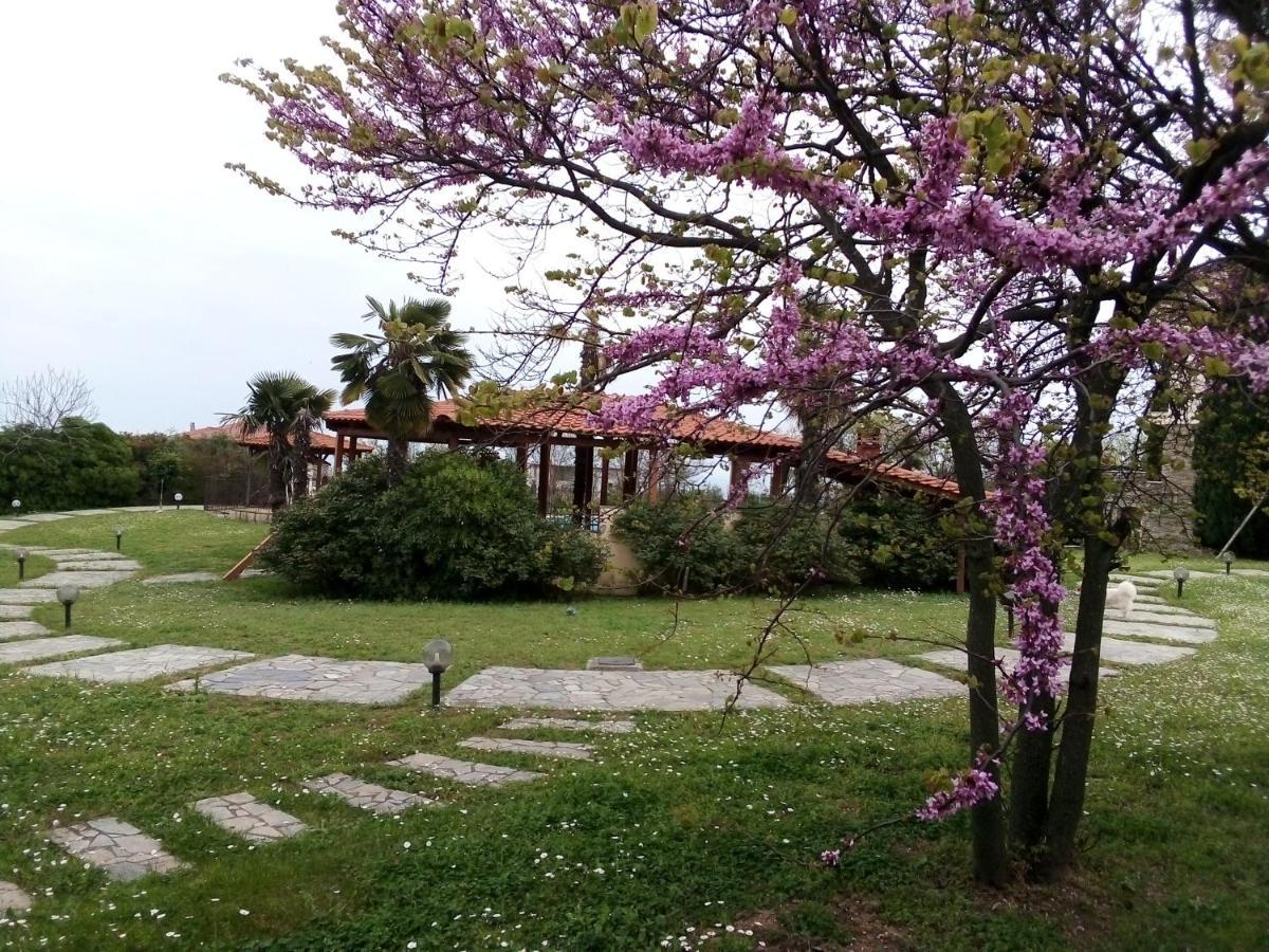 Villa Anna Лептокария Экстерьер фото
